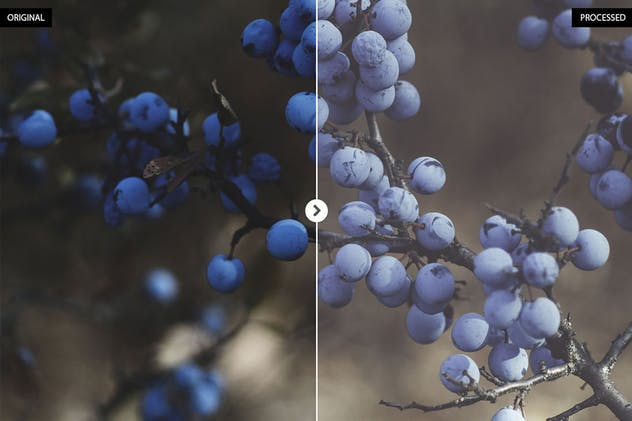 食物美食摄影后期处理LR调色预设v2 Food Lightroom Presets Vol. 2插图(7)
