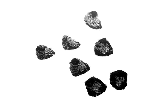 100种自然元素图案PS画笔笔刷 100 Essential Brush Strokes插图(3)