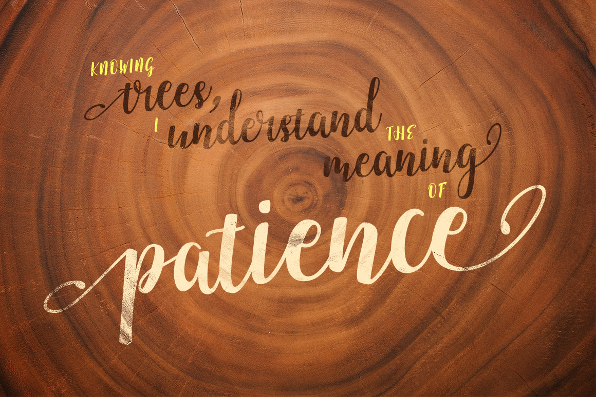 付费手写英文字体 Emellie Script Font插图(6)