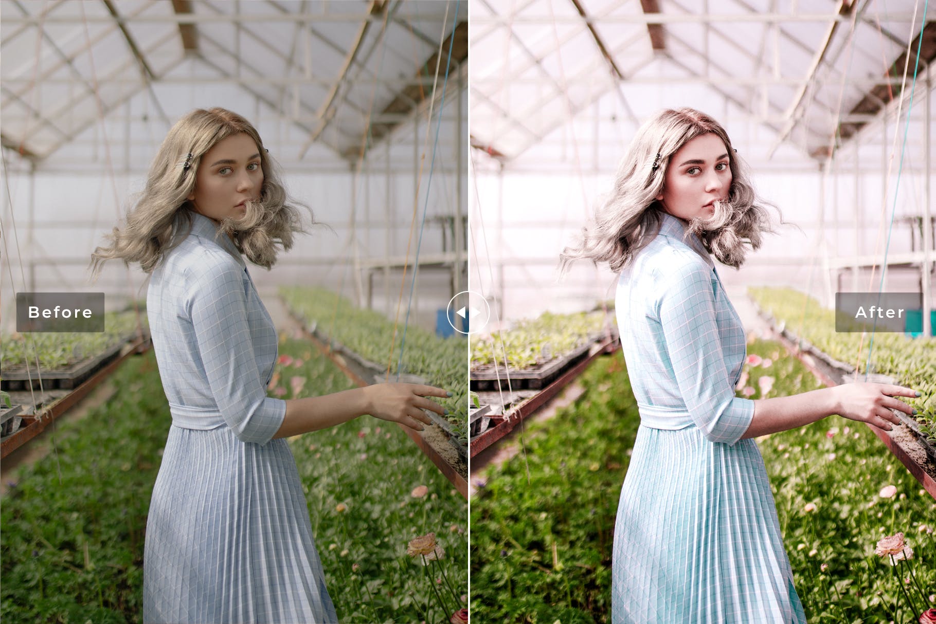 粉色暖色系照片风格滤镜素材库精选LR预设 Blossom Mobile & Desktop Lightroom Presets插图(5)