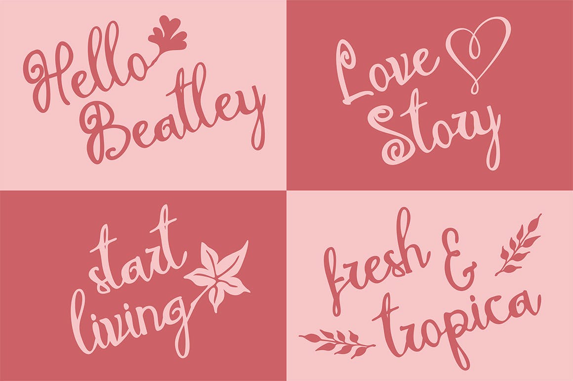 现代女性书法风格英文手写字体 Melodina Script插图(3)