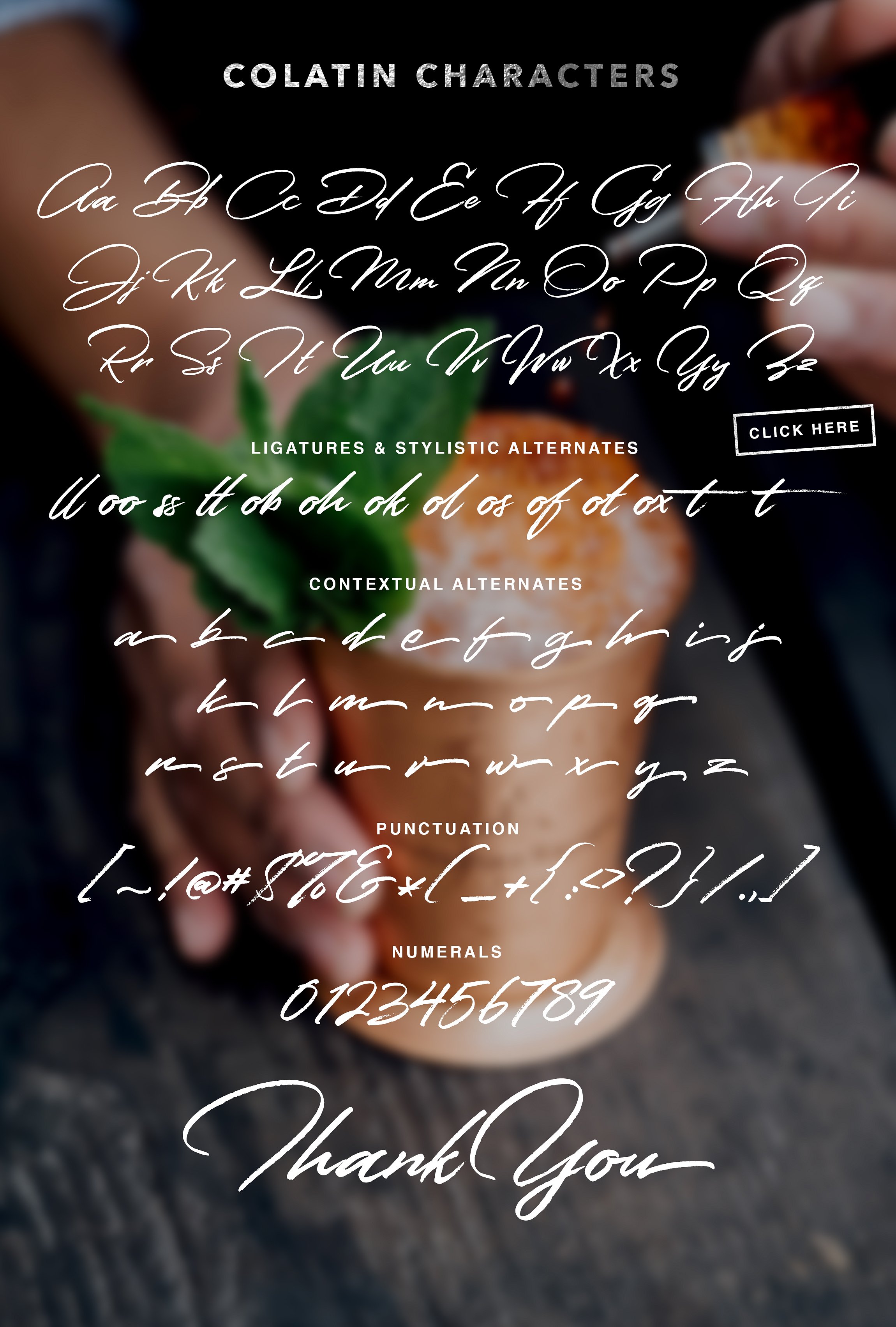 一款洒脱自由手写英文字体 Colatin Script插图(10)