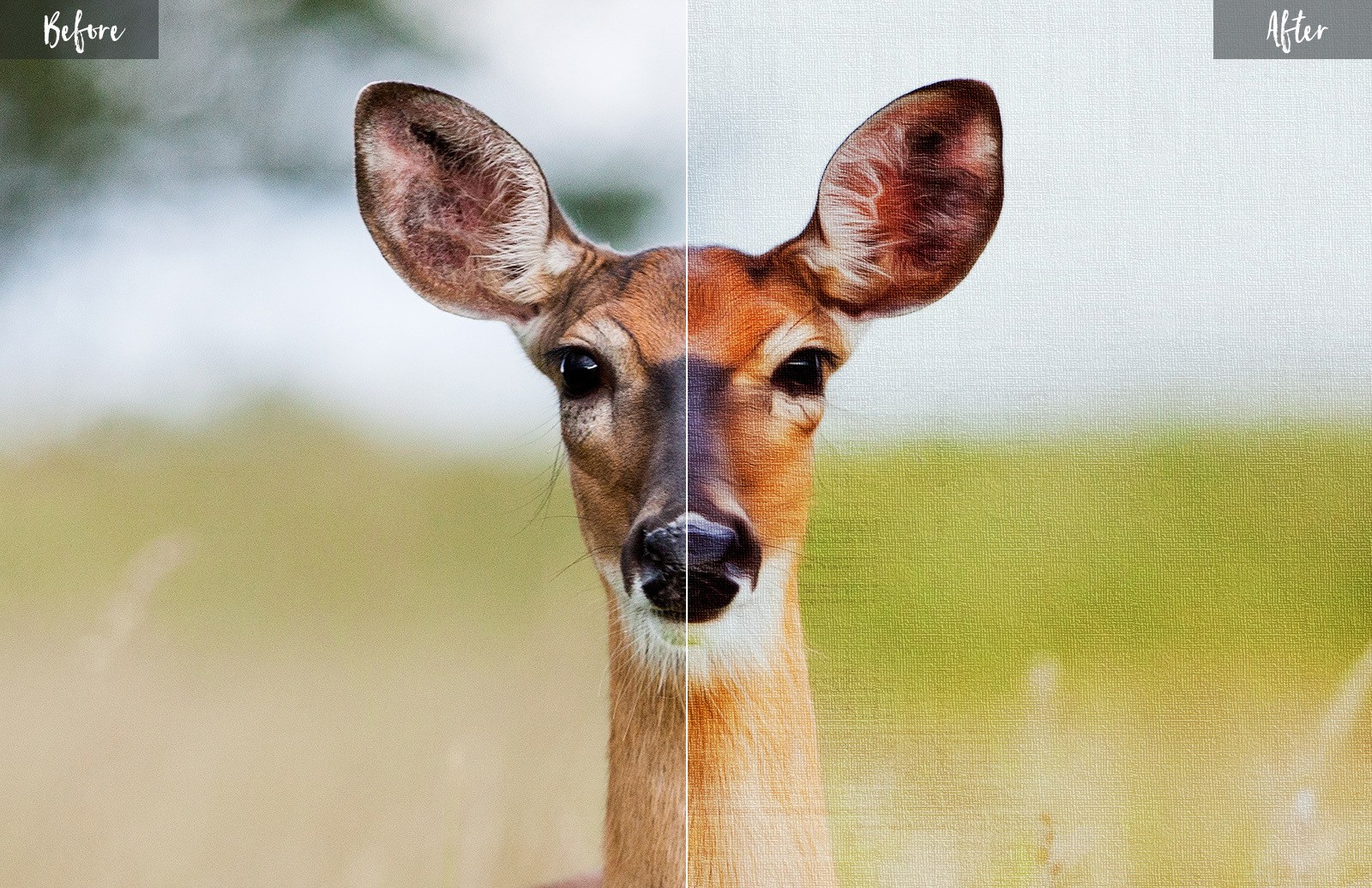 油画风格照片特效样机 Paint Effect Mockup插图(1)