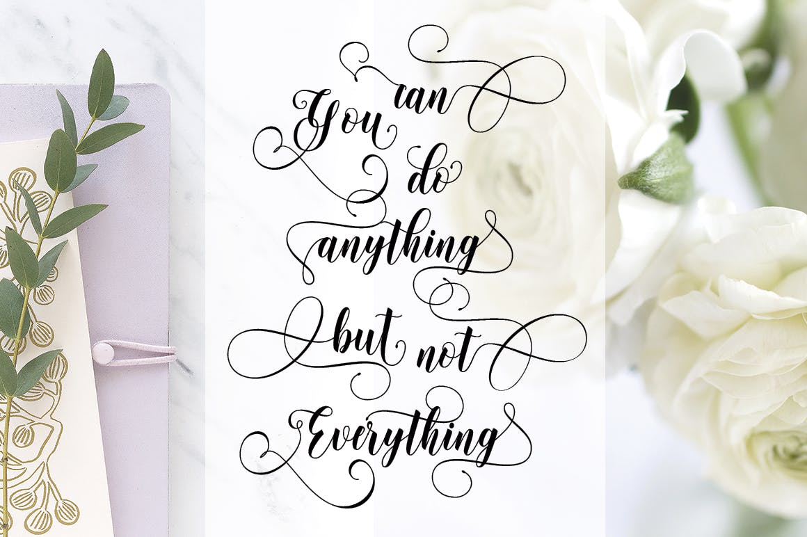 现代书法花饰连字英文手写字体下载 Metinoline Script插图(3)