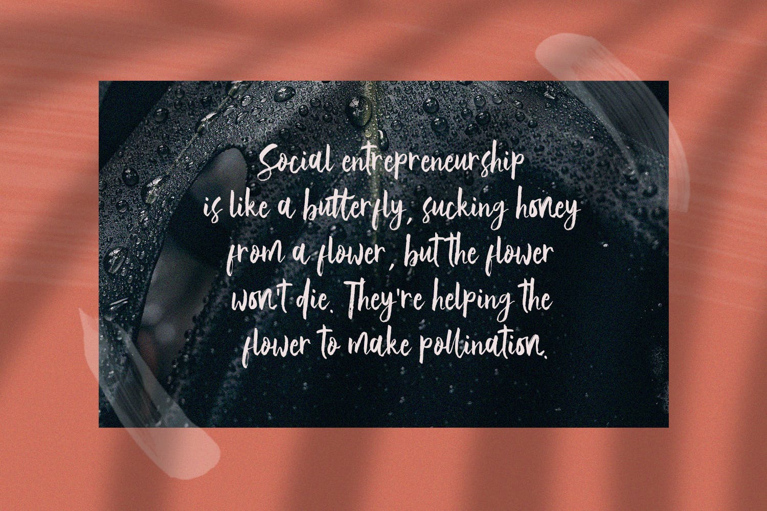 优雅女性书法艺术英文字体下载 Vetto Rosella – Handwritting Font插图(6)