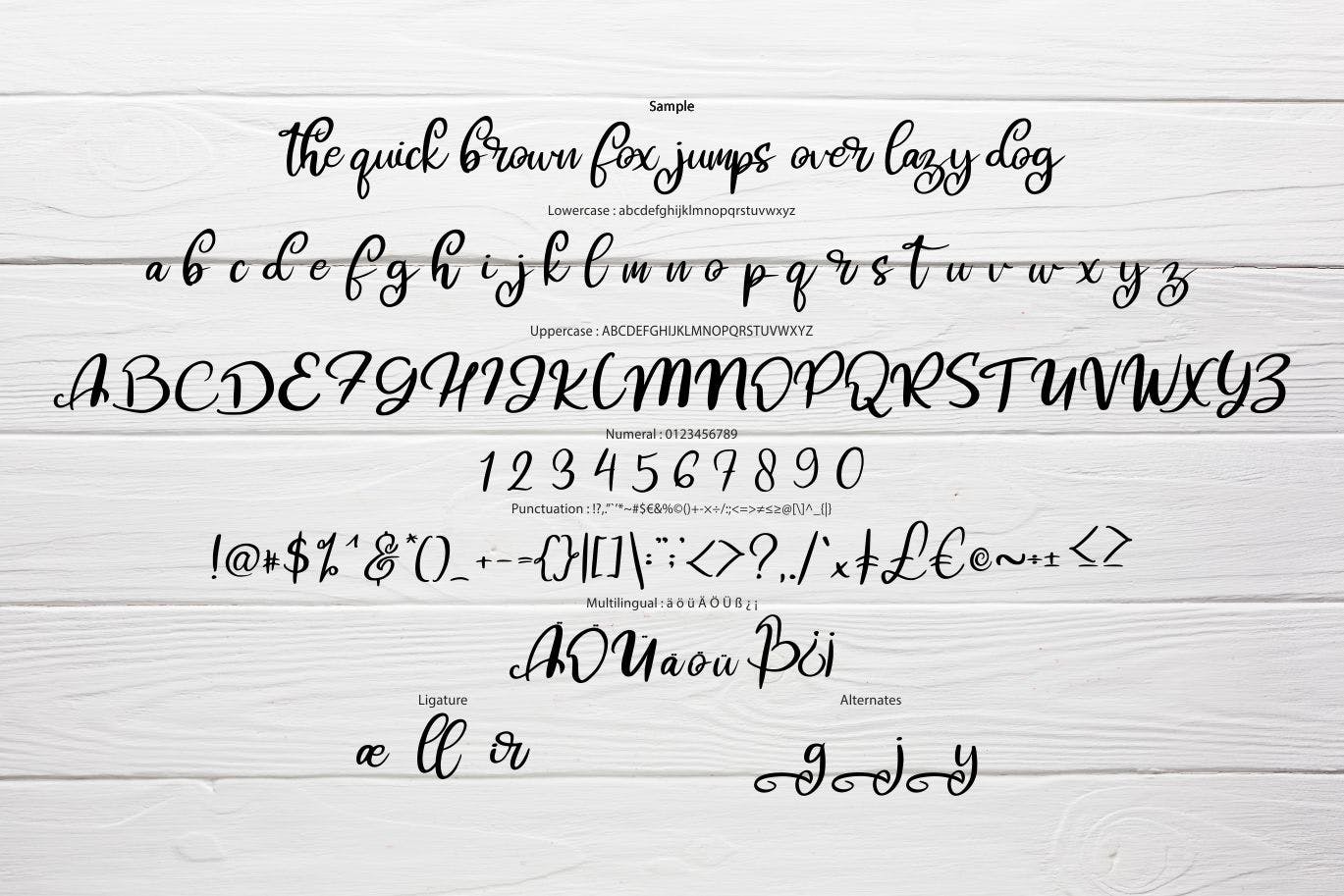 软笔刷书法风格英文手写字体素材库精选 Hibes | Soft Script Font插图(5)