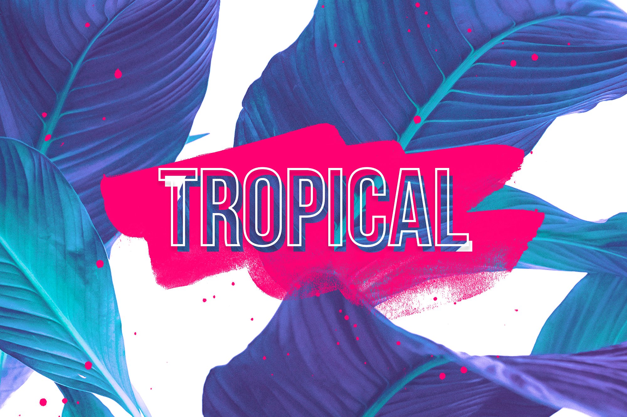 100款高分辨率画笔PS笔刷 Wild Jungle – Brush Collection插图(1)