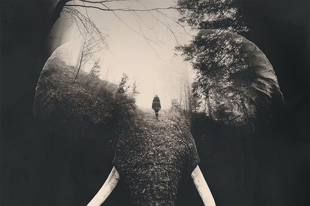 炫酷双重曝光海报照片特效PS动作 Double Exposure Photoshop Actions插图(10)