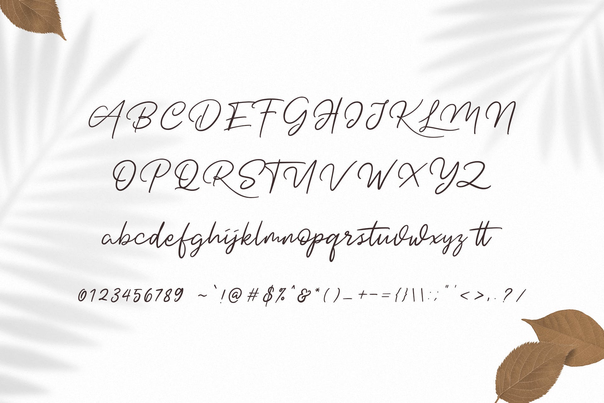 英文钢笔书法字体下载 Dotyville Script Font插图(9)