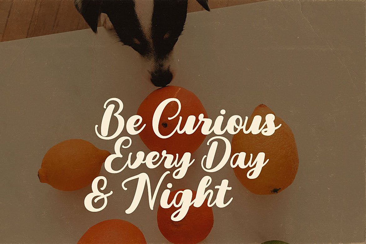 创意英文书法粗体字体下载 Youth Script Font插图(5)