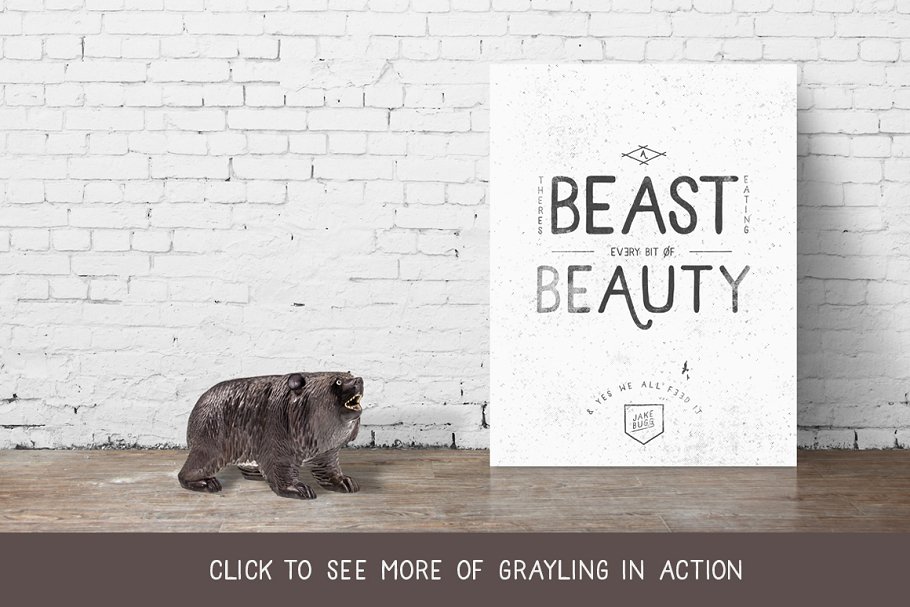 无衬线简约线条英文字体 Grayling Font插图(2)