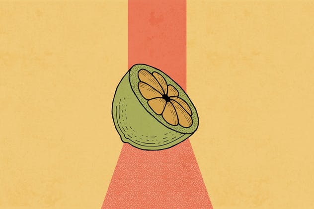 47款手绘画笔&图案AI笔刷合集 The Fairy Vector Brushes插图(7)