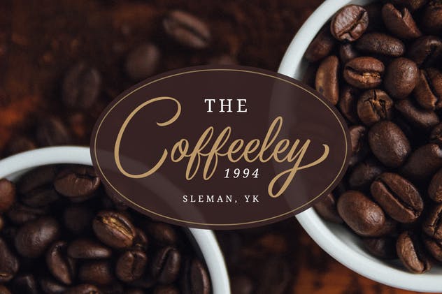 优雅仿真钢笔签名字体下载 Birmingham – Signature Script插图(6)