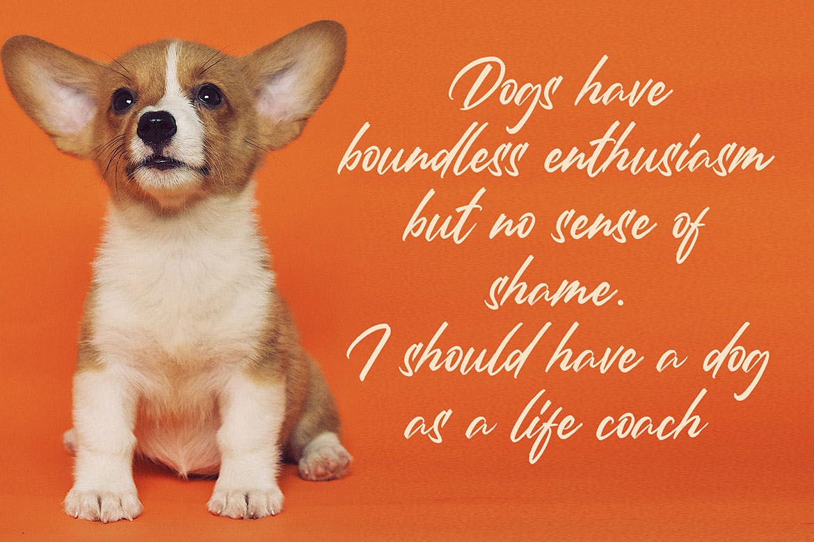 英文画笔书法字体 Rantheme – Stylish Brush Font插图(3)