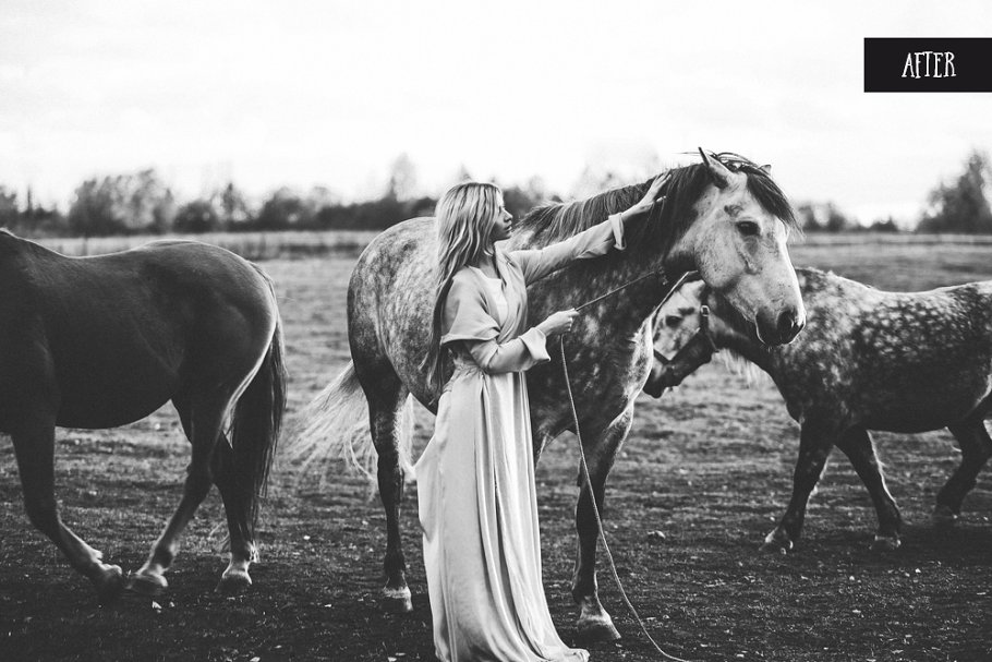 黑白照片风格 PS 动作 Black & White actions for Photoshop插图(7)