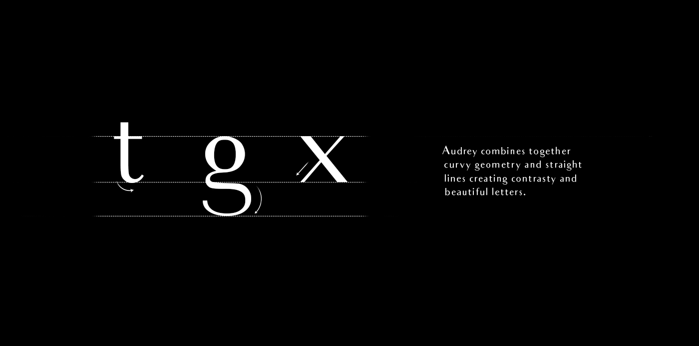 手写英文字体包下载 20 Whopping Fonts插图(50)