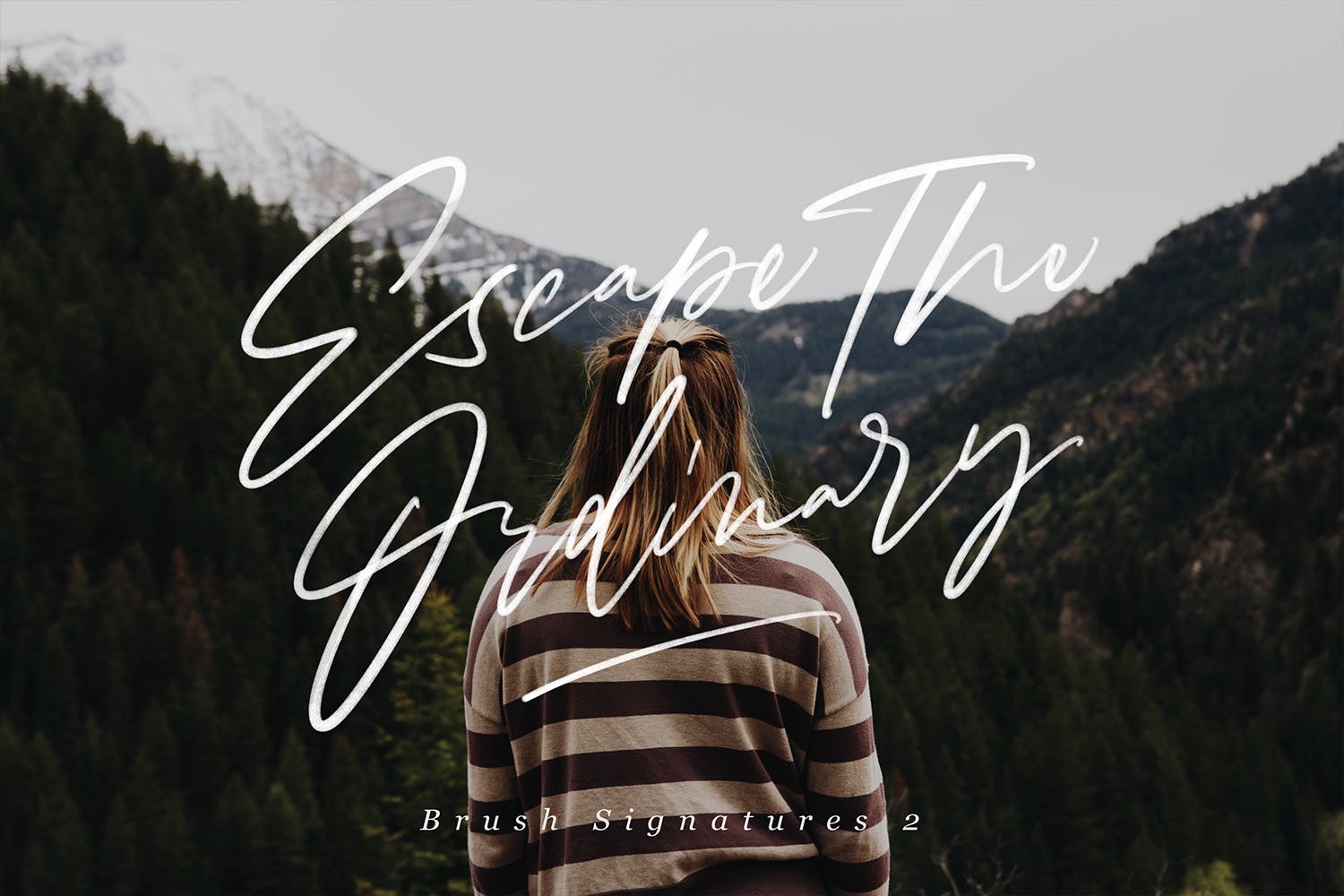 Procreate应用艺术书法字体笔刷合集插图(5)