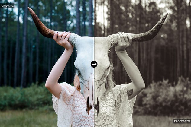 10款丛林大自然摄影照片后期处理LR预设合集 10 Into The Jungle Lightroom Presets插图(5)