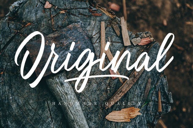 绘画画笔英文书法字体 Oregon Script MS插图(4)