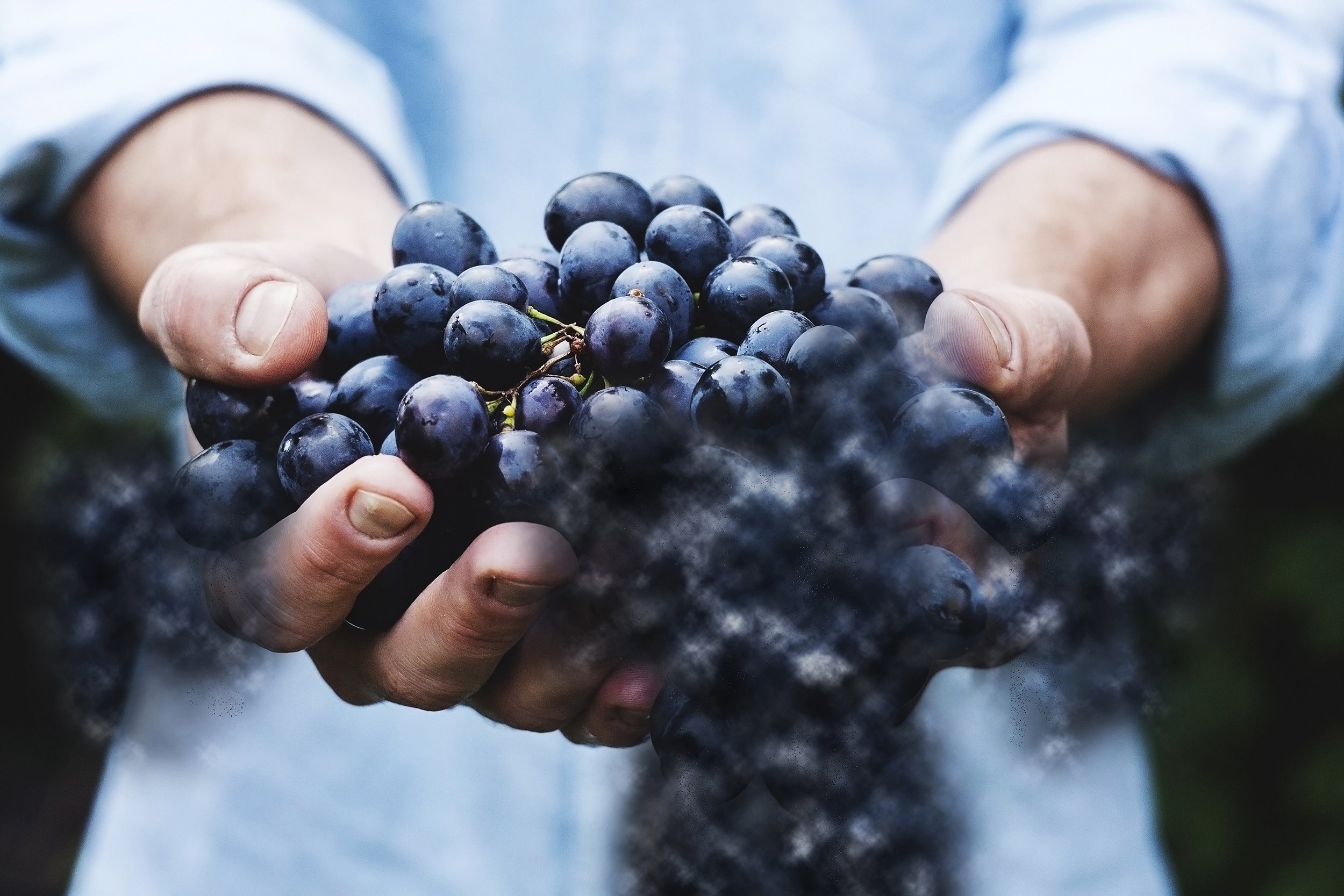 炫酷逼真色散消失效果PS动作 Dispersion Actions Bundle插图(15)