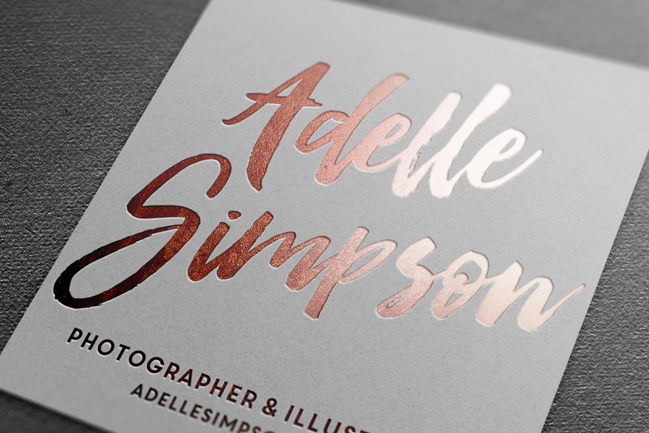 画笔手写英文字体 Boutique Script + PSD Styles插图(2)