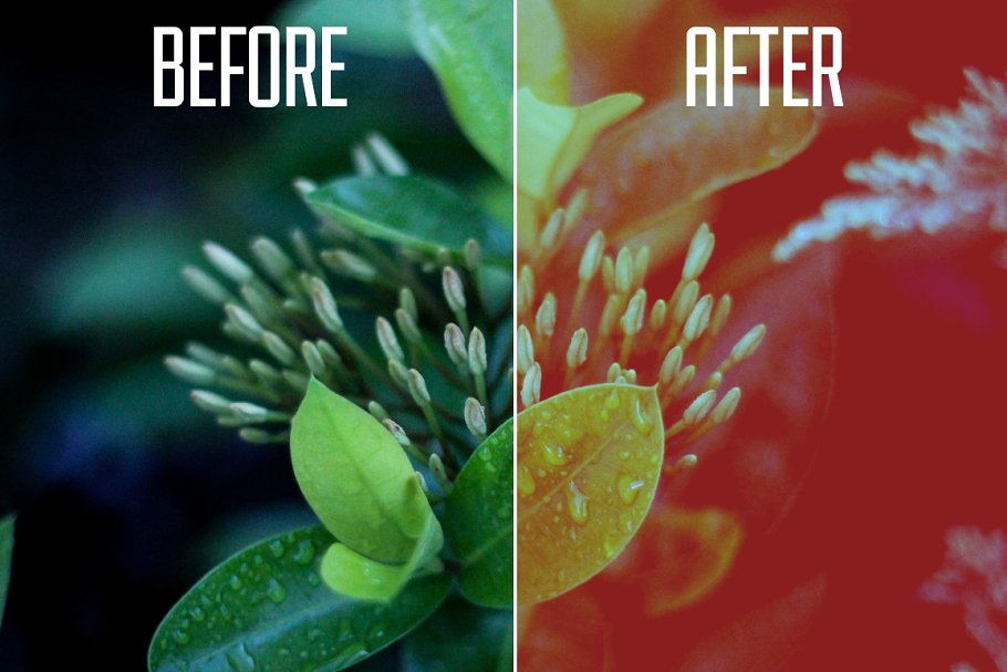 复古胶片电影特效PS动作 Filmtastic RedShift PS Film Actions插图(3)