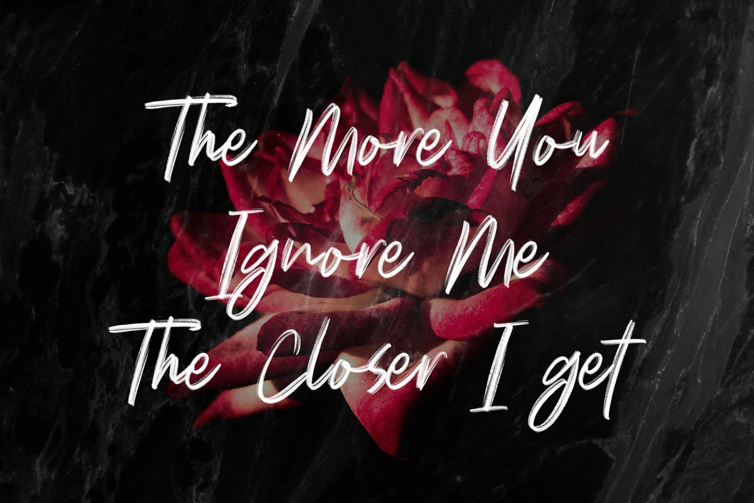 干笔刷英文画笔SVG字体下载 Polandic SVG Brush Font插图(1)