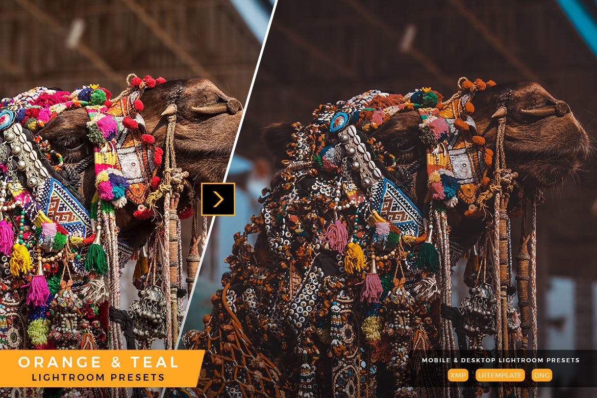 橙色&深绿色色调照片调色滤镜素材库精选LR预设 Orange and Teal Lightroom Presets插图(1)