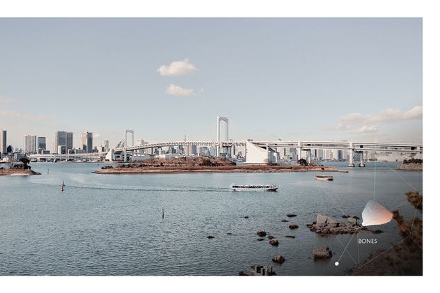 40款风景人物照片滤镜Lightroom预设 40 Traveller Lightroom Profiles and LUTs插图(6)