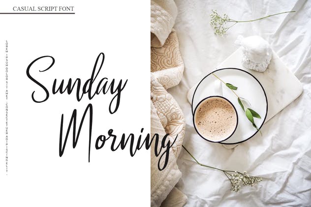 时尚英文手写字体下载 Malenna Script插图(3)