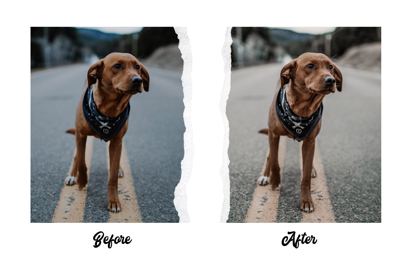 社交&博客生活照片LR修色预设 Influencer & Blogger Vol. 2插图(8)