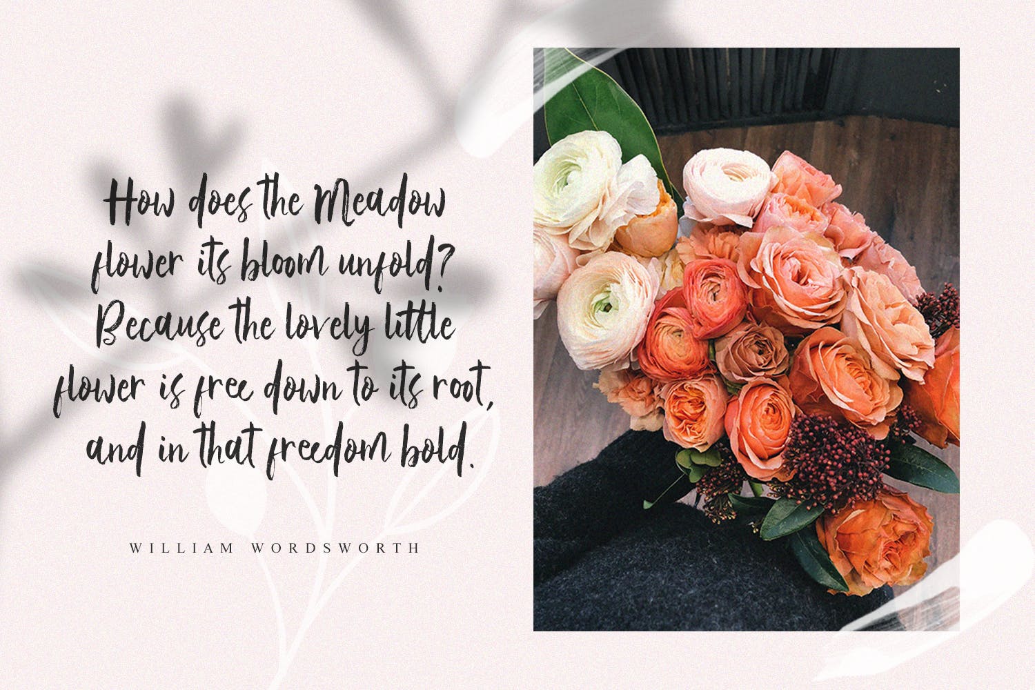 优雅女性书法艺术英文字体下载 Vetto Rosella – Handwritting Font插图(5)