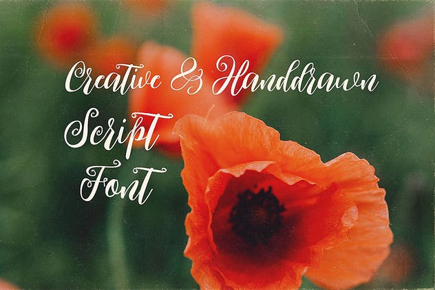 舞魅飞扬粗体手写英文字体 Kimberly Script Font插图(2)