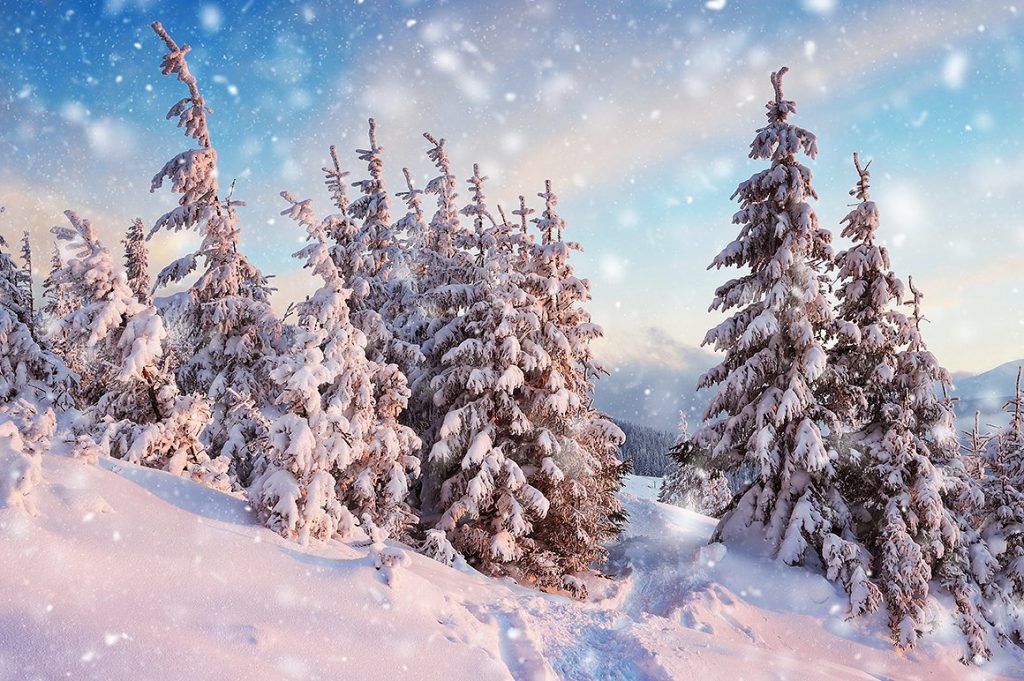 浪漫的雪景飘舞雪花效果PS动作 Snow Photoshop Action插图(2)