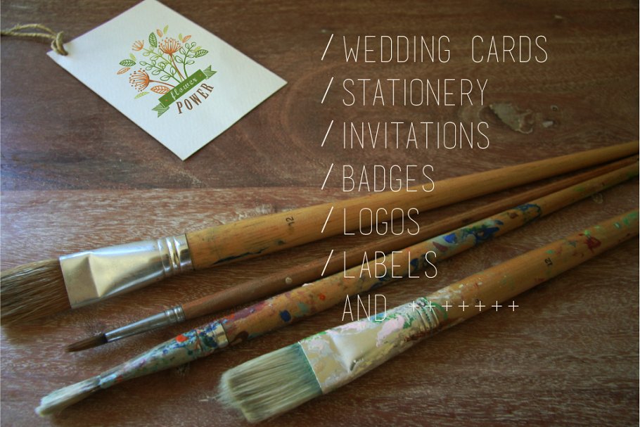 100多彩植物图案AI笔刷 100 Colorful botanical brushes插图(2)