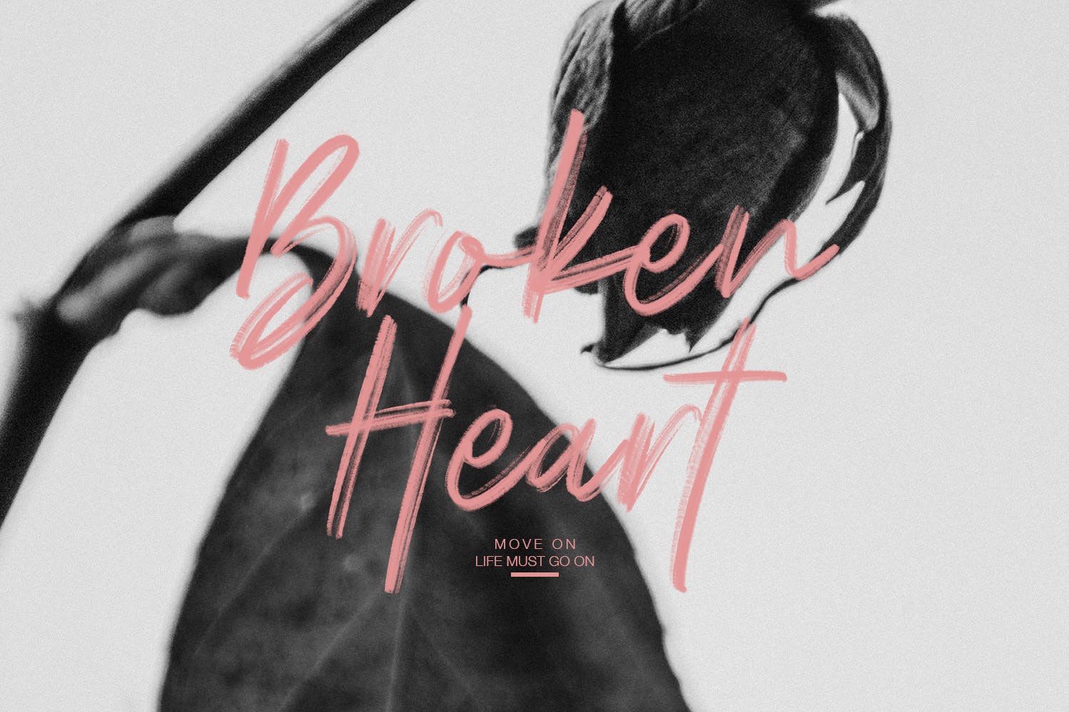 干笔刷英文画笔SVG字体下载 Polandic SVG Brush Font插图(2)