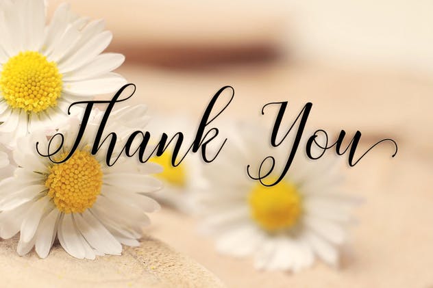 飘逸舞蹈线条手写英文草书字体 Histeria Script插图(4)