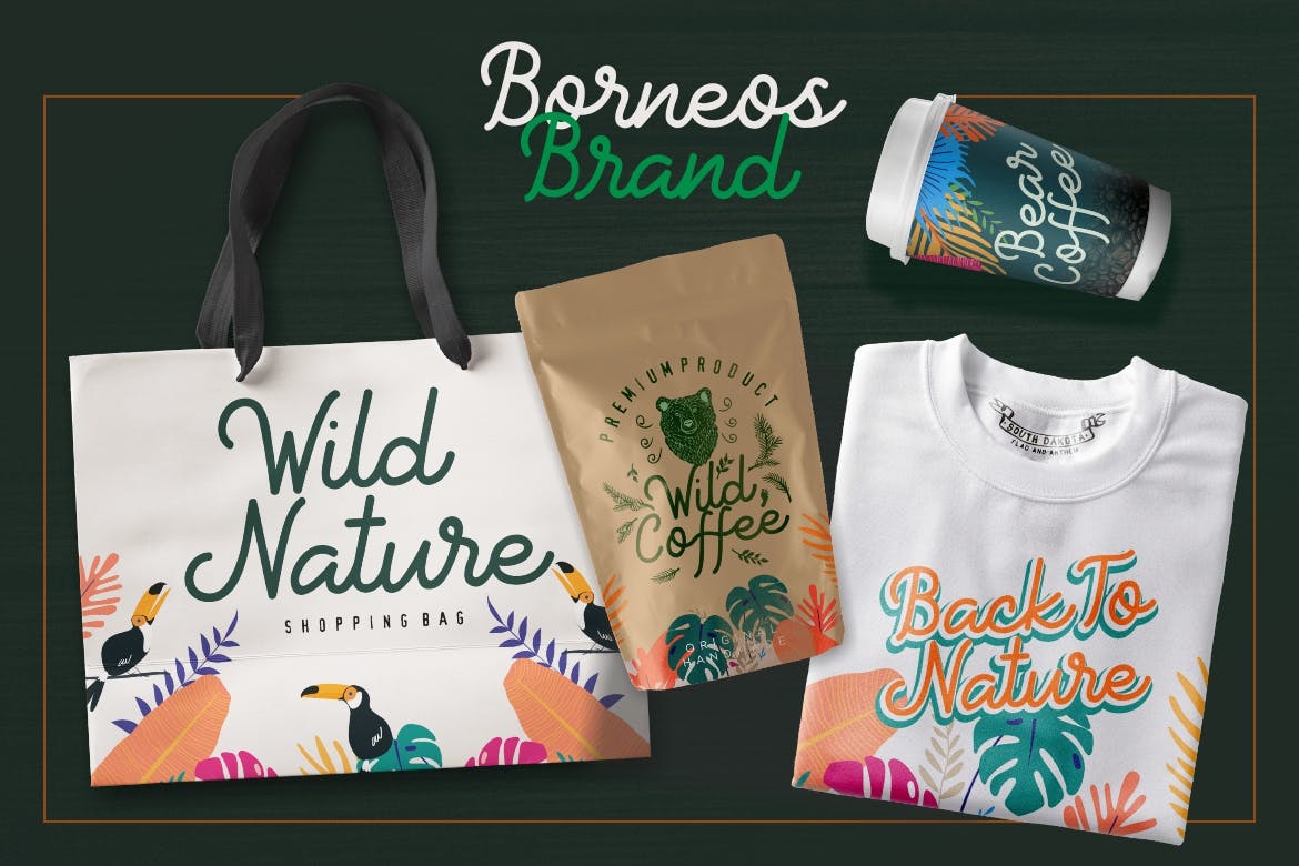 Monoline手写风格英文字体下载 Borneos – Monoline Handwriting插图(2)