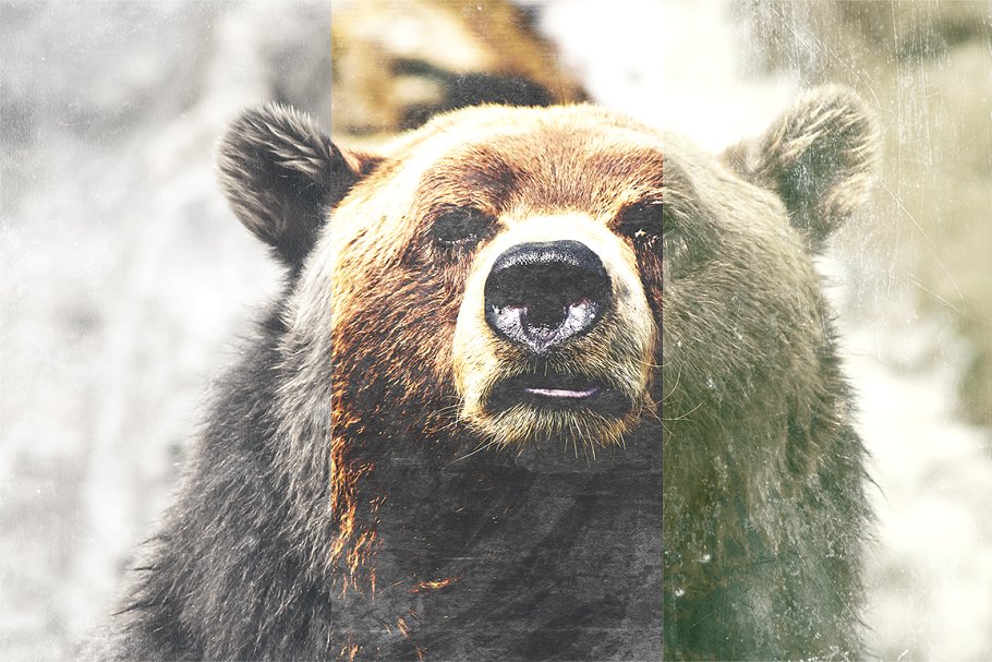 即时复古照片处理效果 Vintage Spirit Effects Set插图(6)