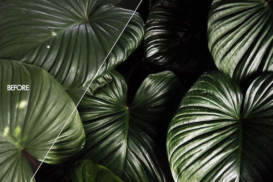 60款博主必备照片效果处理LR预设 The Blogger Lightroom Presets插图(11)