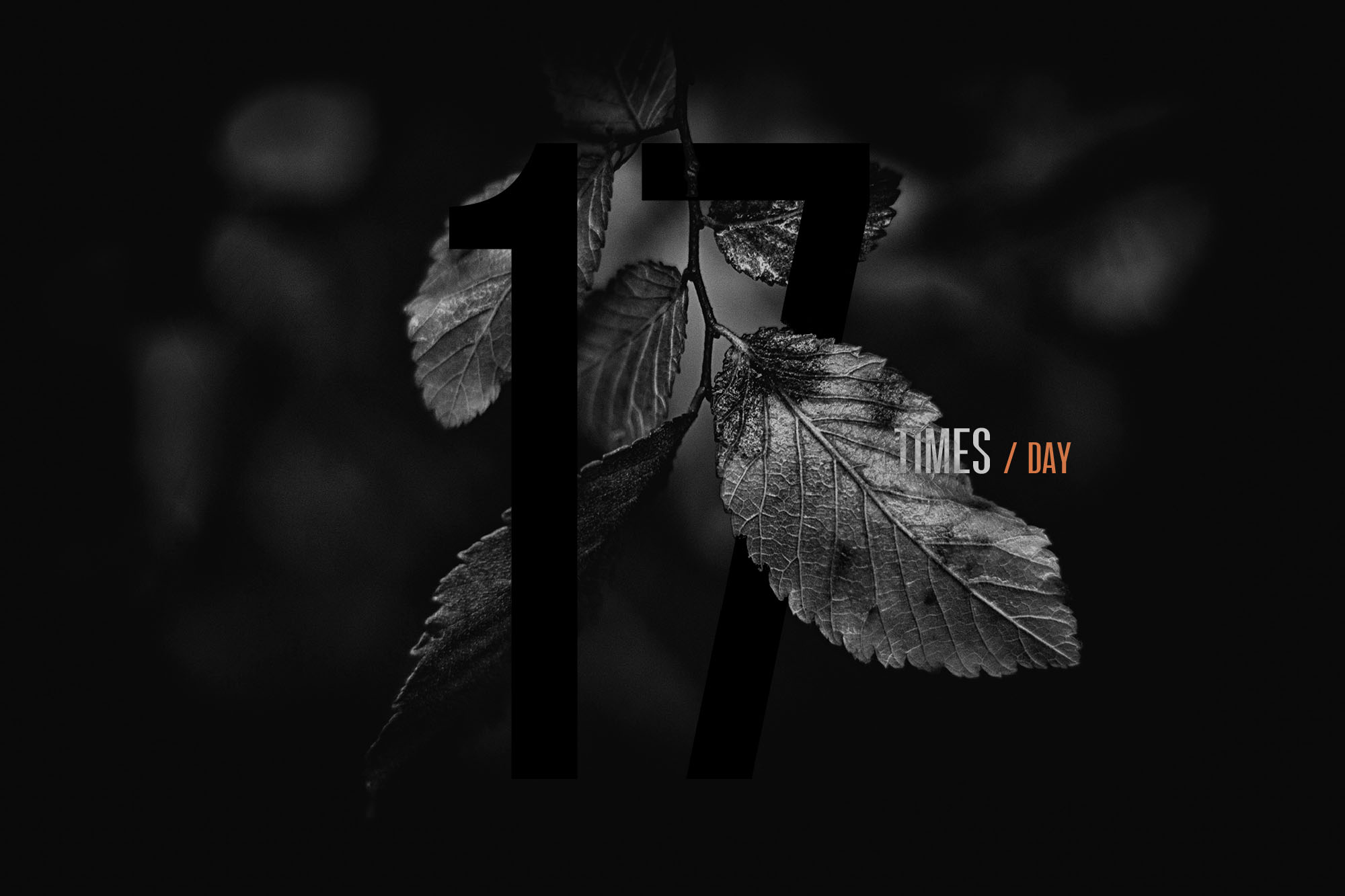 设计师无衬线字体字体系列 Designer Font Family插图(10)