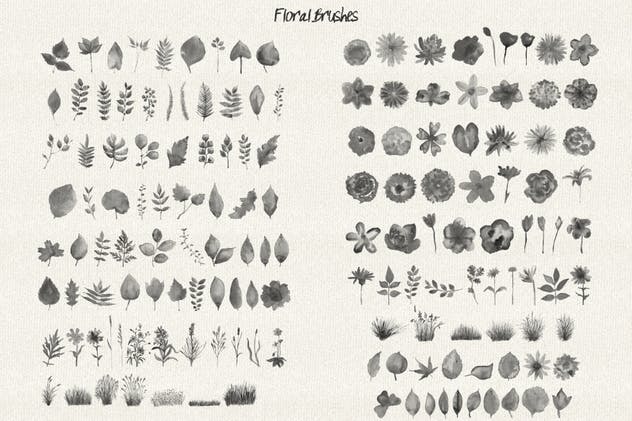 水彩花卉PS印章画笔笔刷 Floral Watercolor PS Stamp Brushes插图(4)