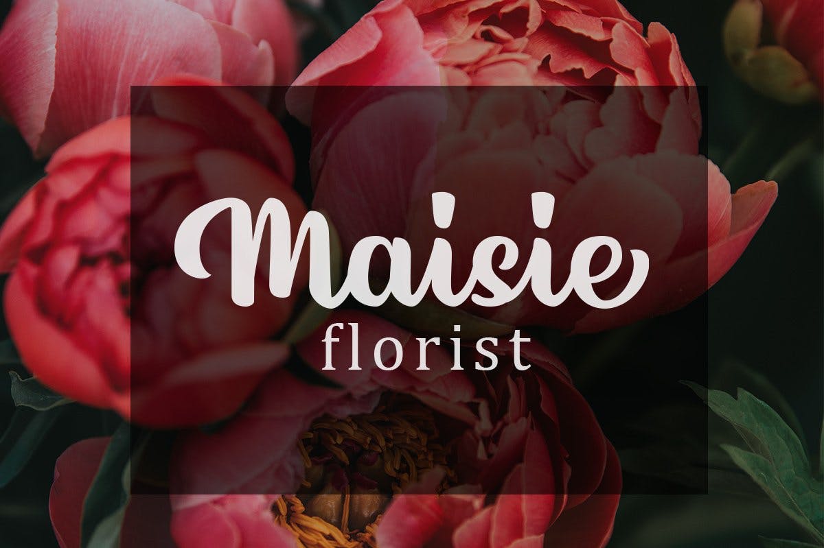 粗笔画英文连笔书法字体 Lanoline A Playful Script插图(2)