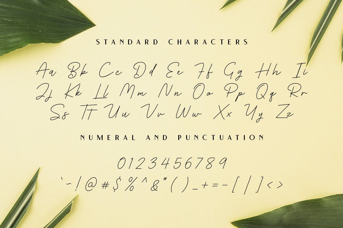 浪漫主义风格女性钢笔签名英文字体素材库精选 Romance Signature – Beauty Signature Font插图(3)