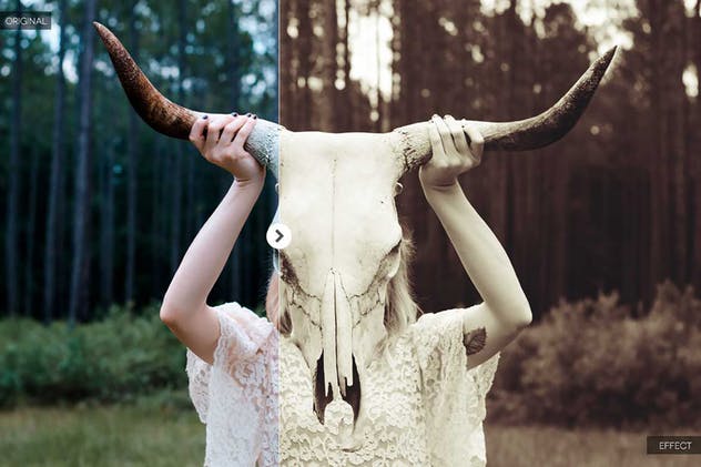 旅行摄影大师调色滤镜PS动作 Into The Jungle Photoshop Actions插图(3)