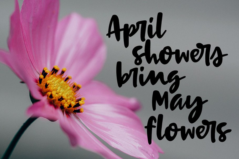 生动有趣的手写英文粗体手写字体 Terrapin: a bold handwriting script插图(3)