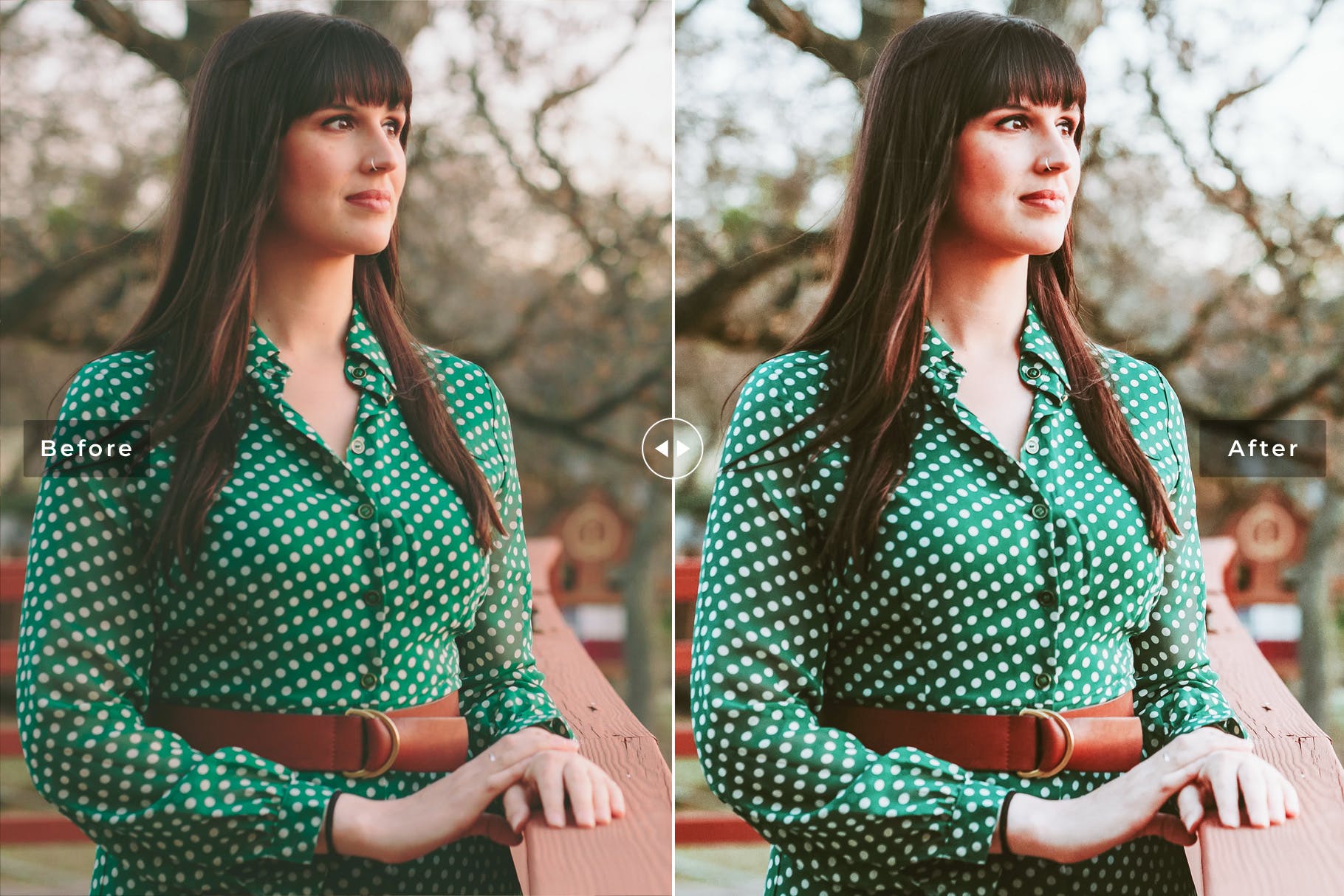 婚礼/旅行/影棚摄影后期处理素材库精选LR预设 Ireland Mobile & Desktop Lightroom Presets插图(4)