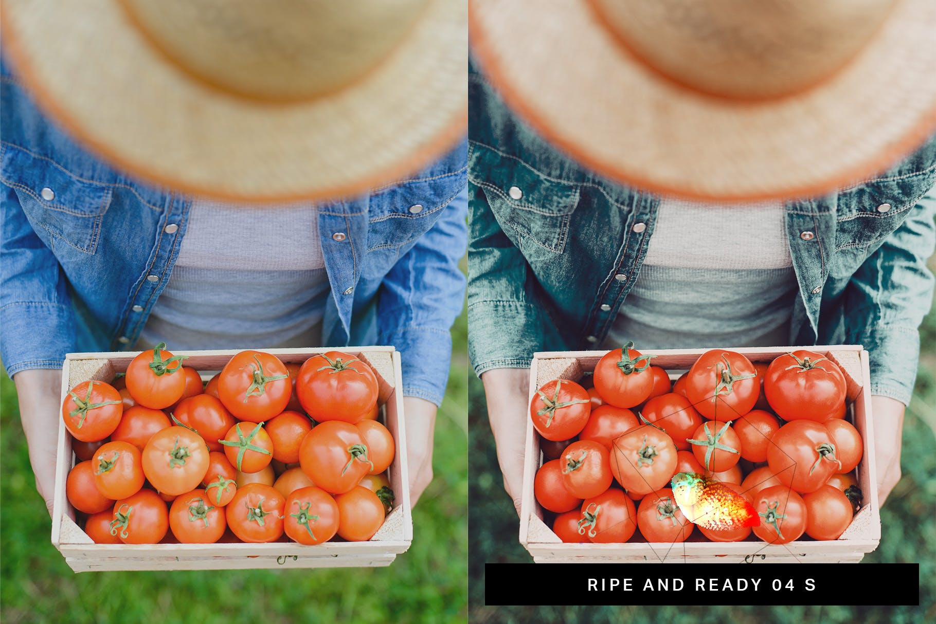 50款花园摄影/食物摄影后期调色处理Lightroom预设 50 Bountiful Garden Lightroom Presets and LUTs插图(4)