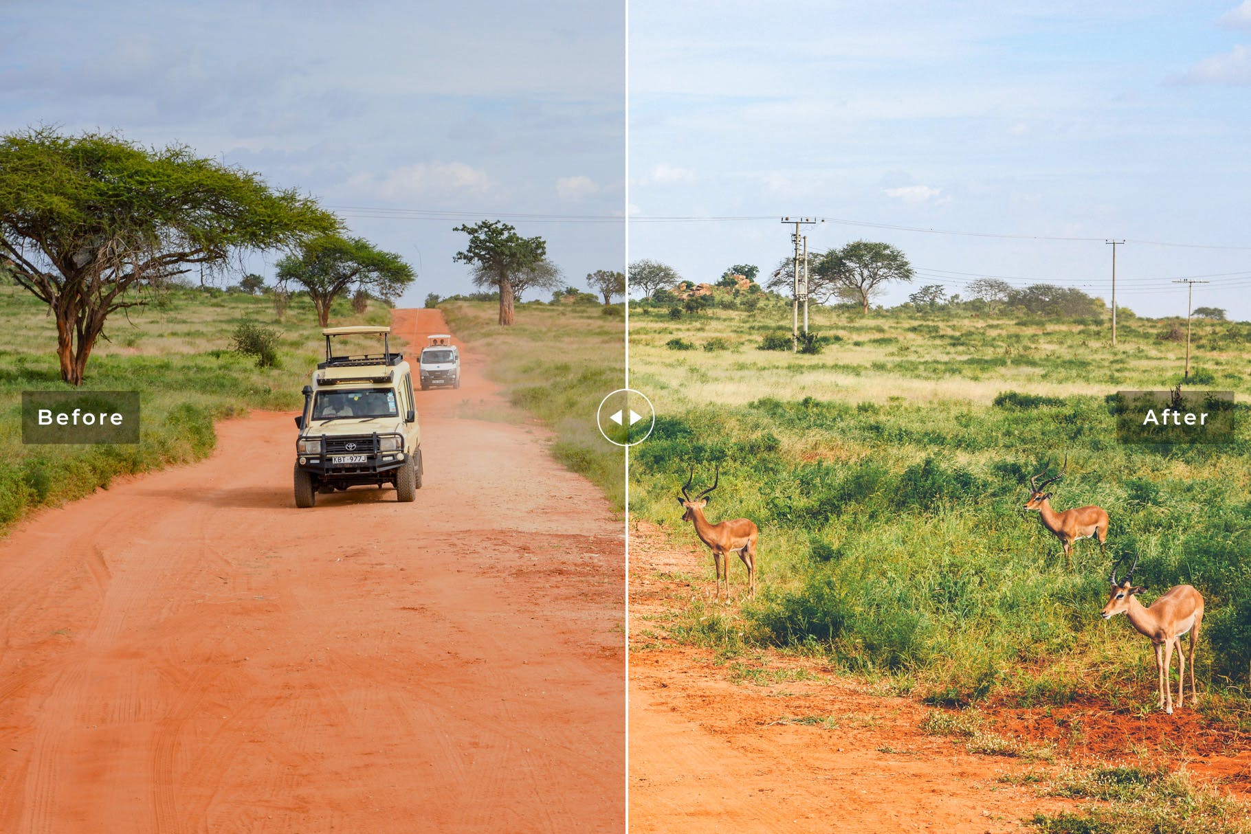 平原荒野摄影作品调色滤镜素材库精选LR预设 Safari Mobile & Desktop Lightroom Presets插图(4)