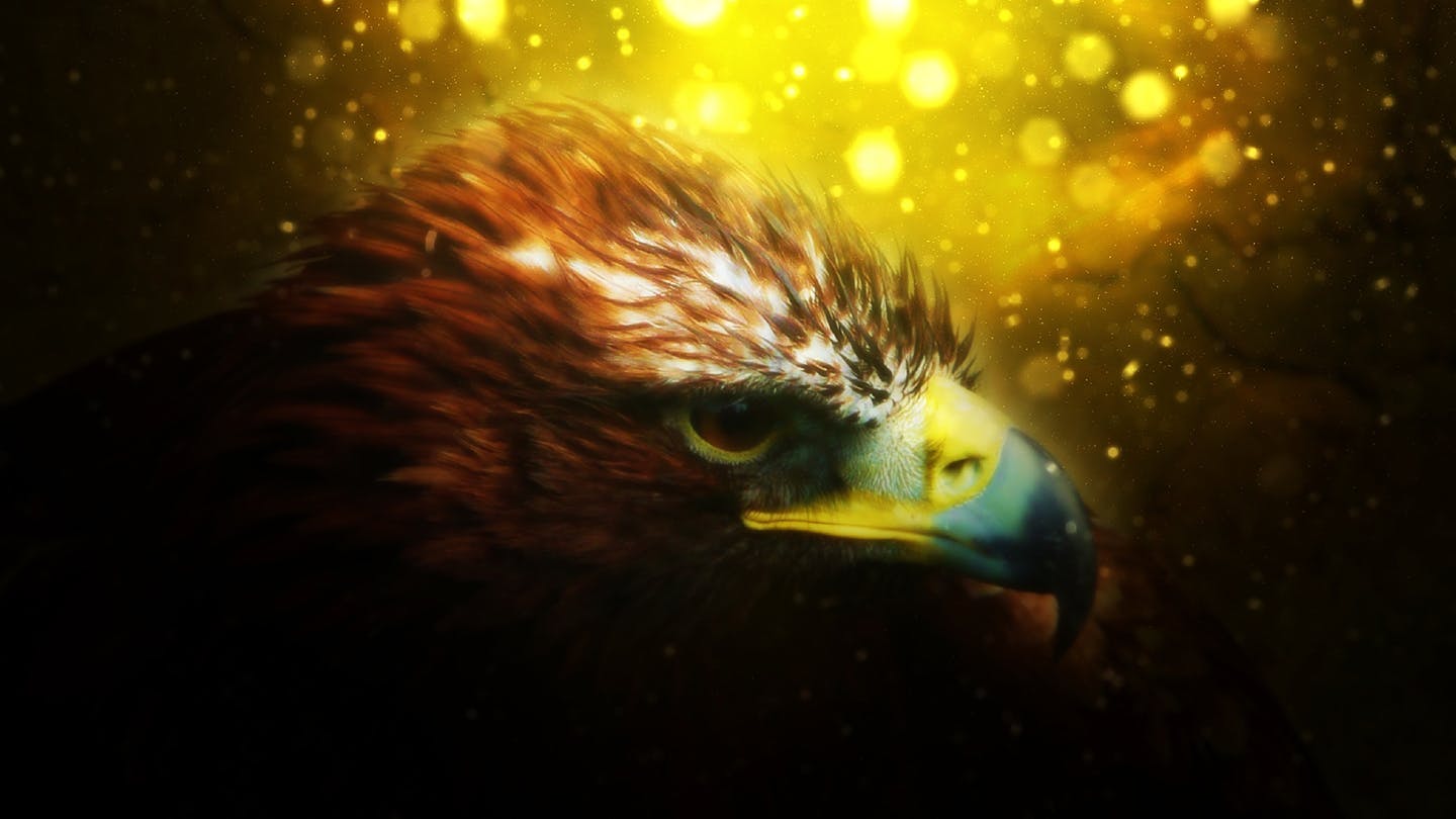 炫酷魔幻高光散景效果PS动作 Illuminate CS3+ Photoshop Action插图(6)